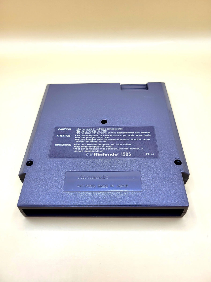 Solstice The Quest for the Staff of Demnos - Nintendo NES