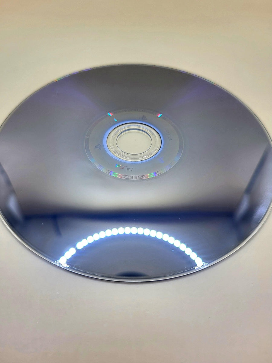 The Crew Wild Run Edition - PlayStation 4 - PS4